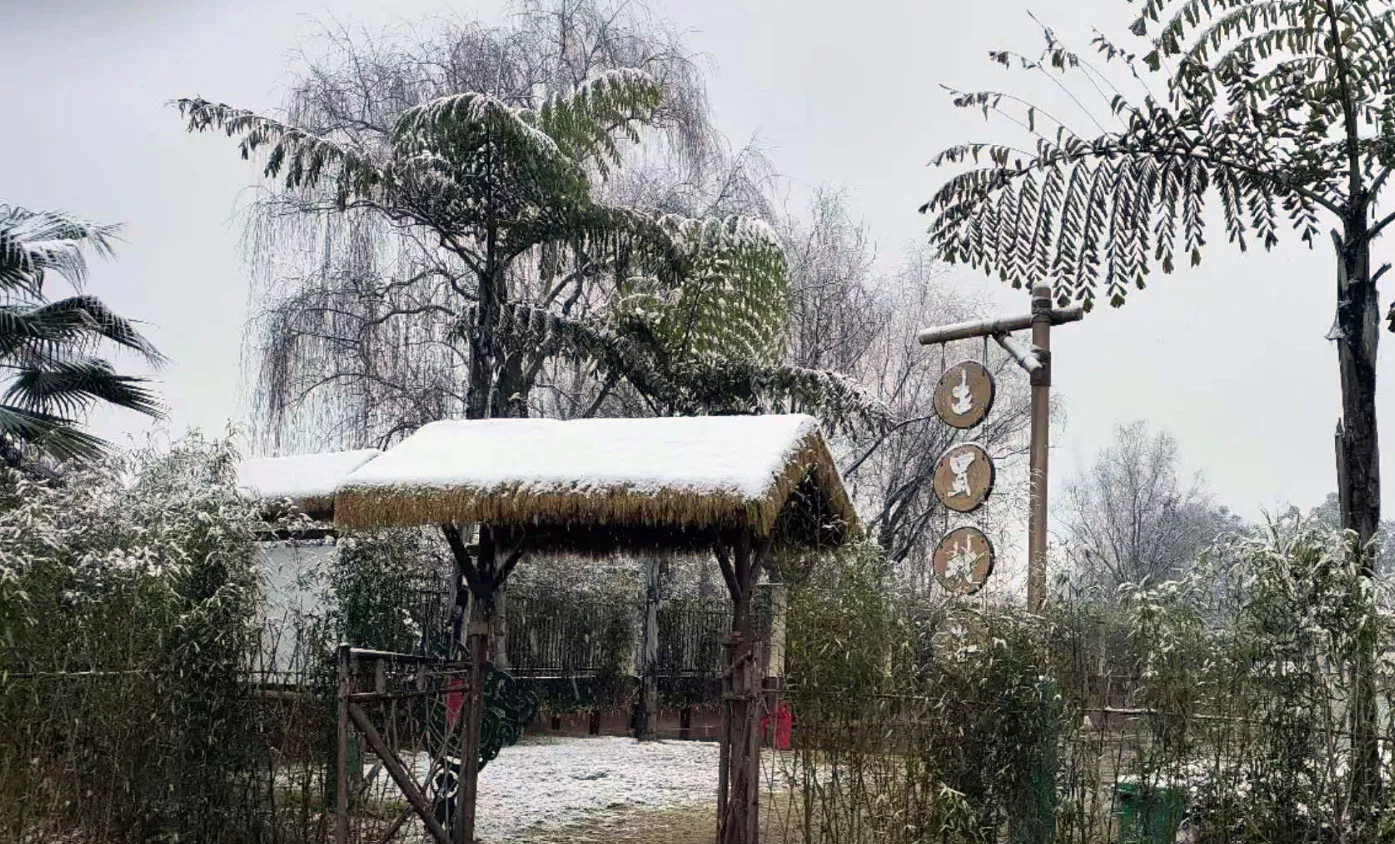 古蜀村落村口的雪