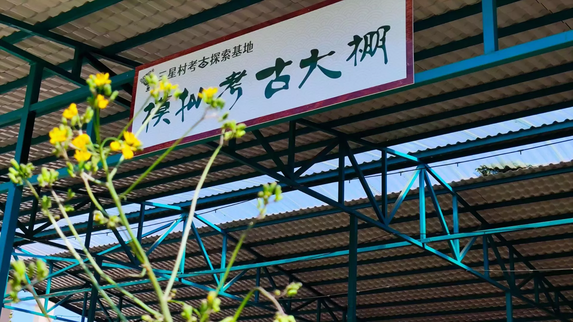 考古大棚