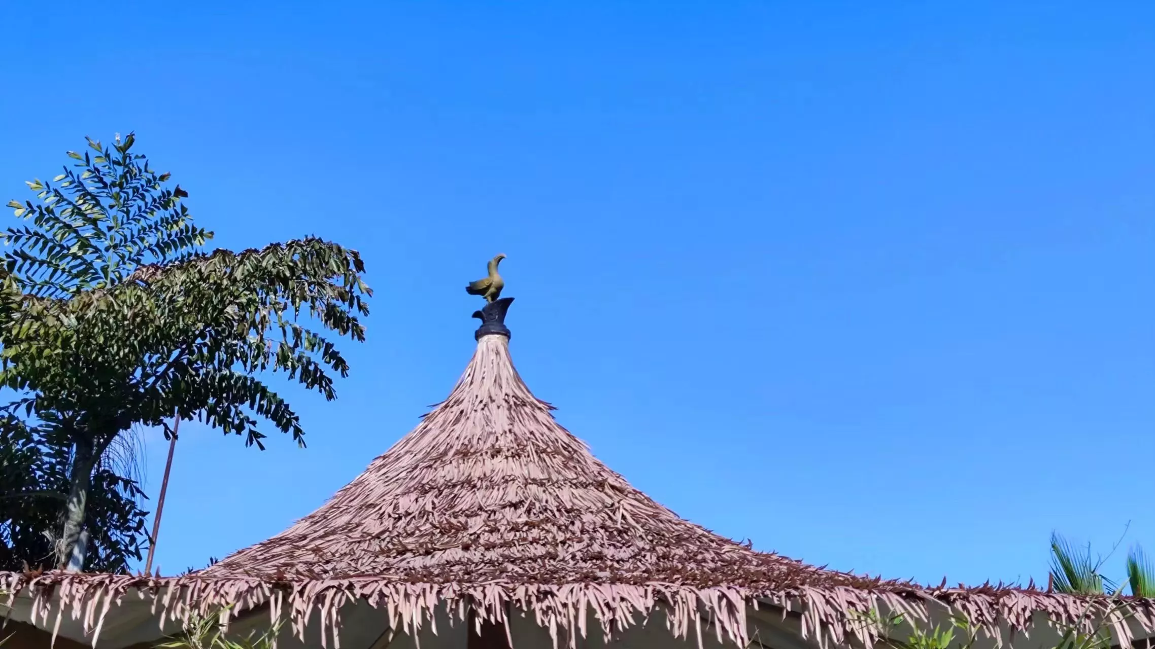 休息亭