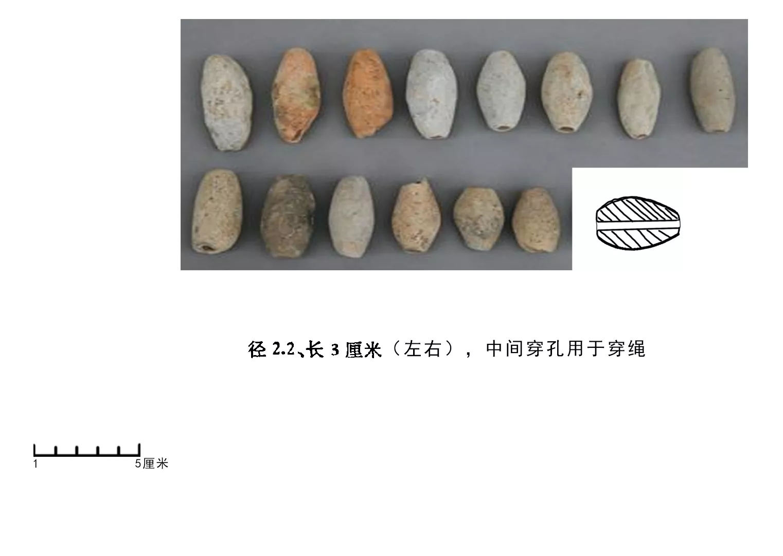 三星堆陶网坠大全