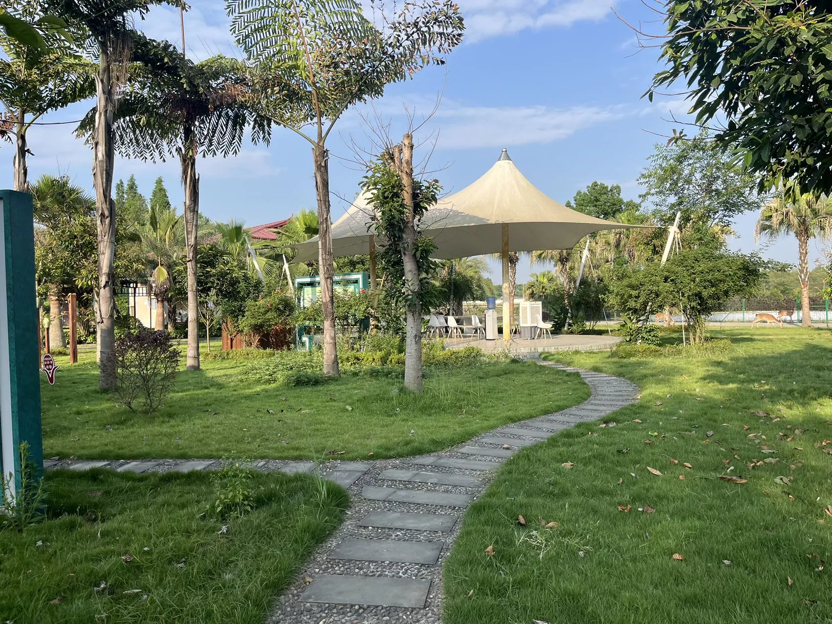 夏天清晨的休息区