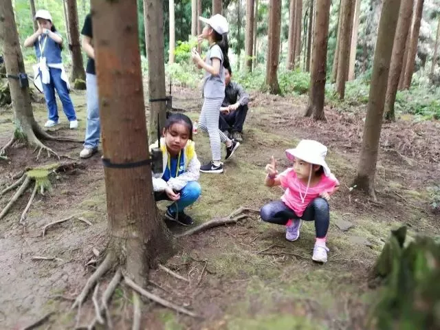 遗址植物调查