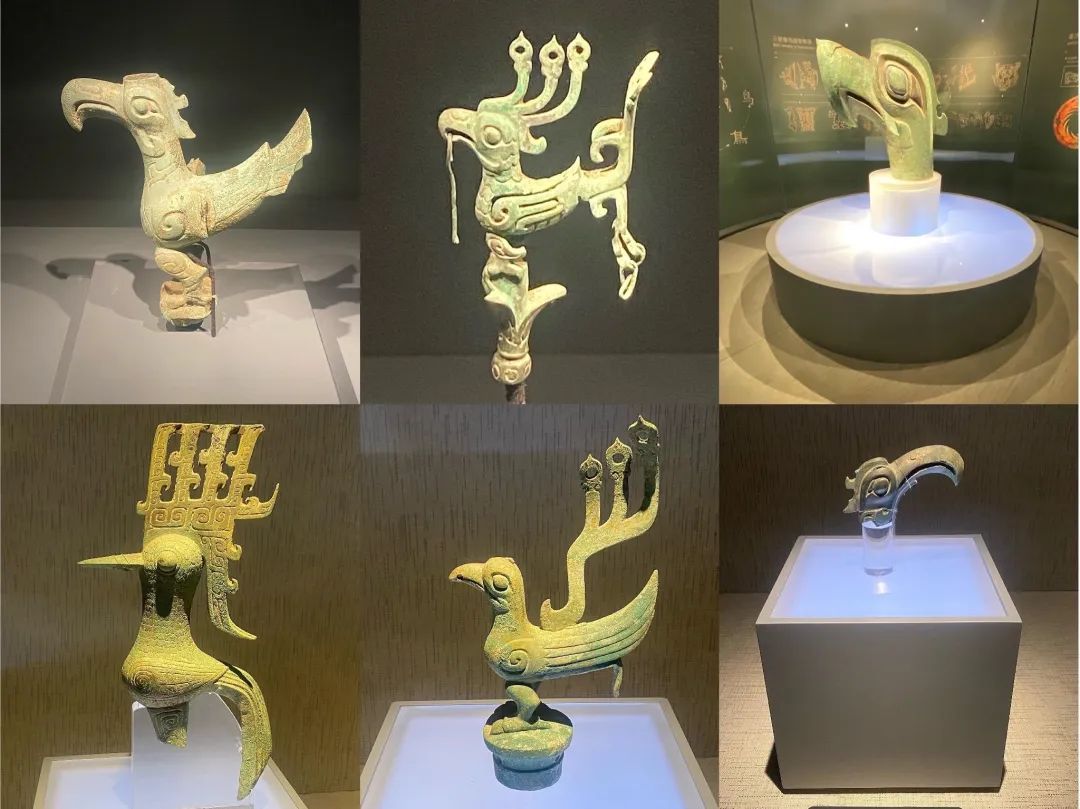 三星堆"动物园"——鸟类篇 - 三星村考古探索基地 - 三星堆主题研学