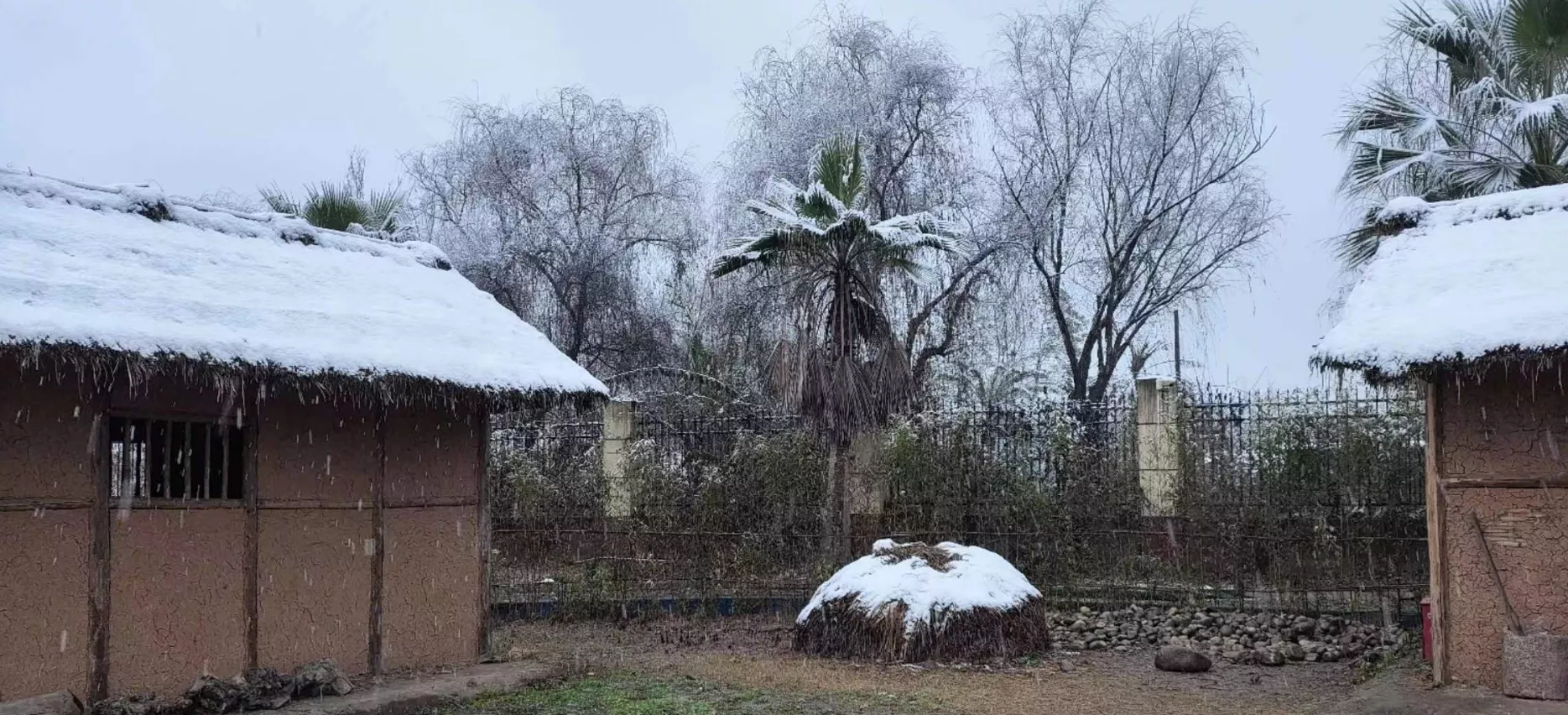 雪中宁静的古蜀村落（2024年1月24日成都平原难得一见的大雪）