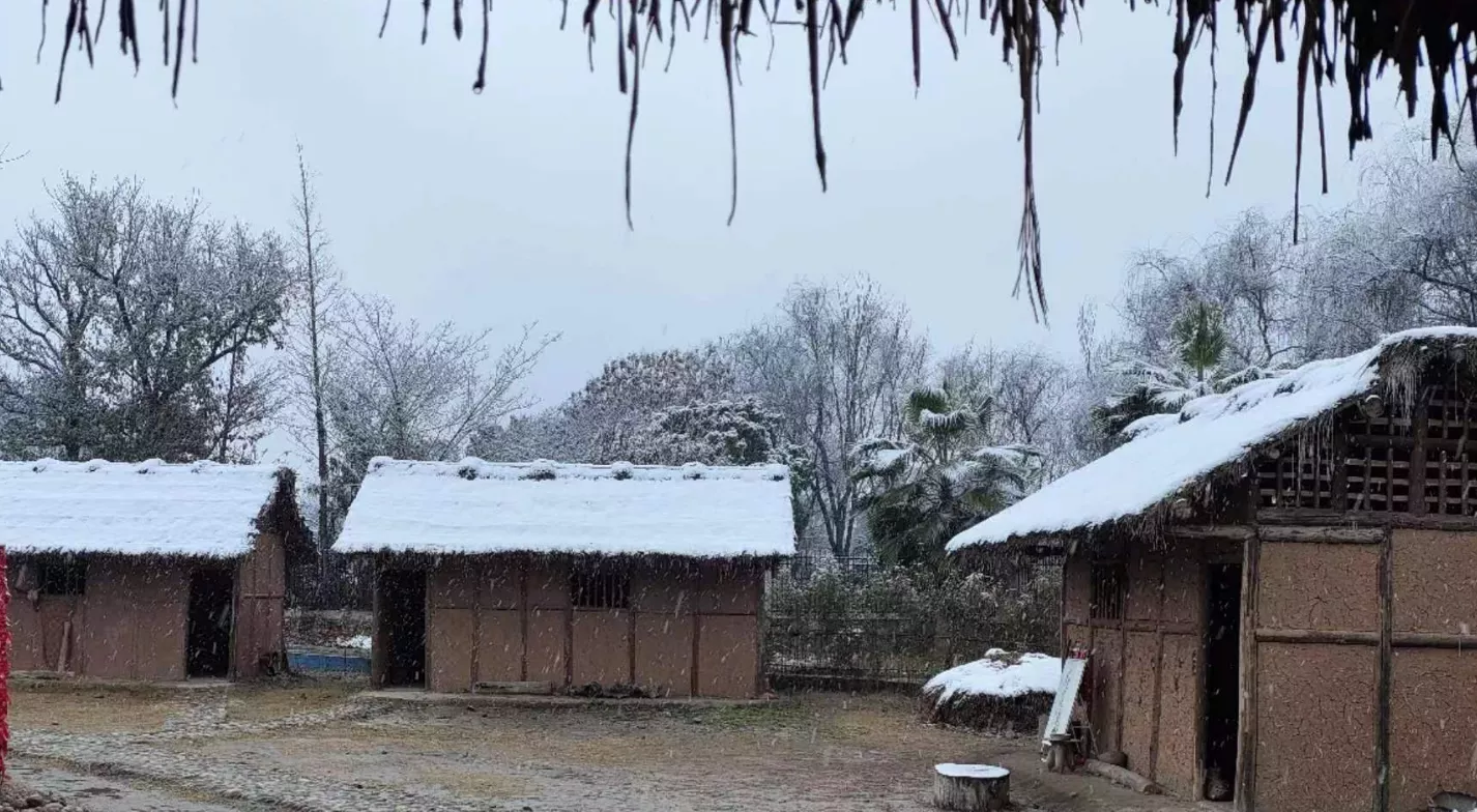 难得一见的古蜀村居雪景