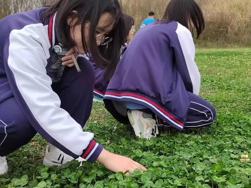 广汉市钟声初级中学图片